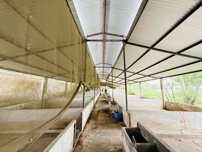 CHO THUÊ TRẠI HEO (2000m2) - Có Nhà Ở - Thiện Tân - P.Trảng Dài ( mới