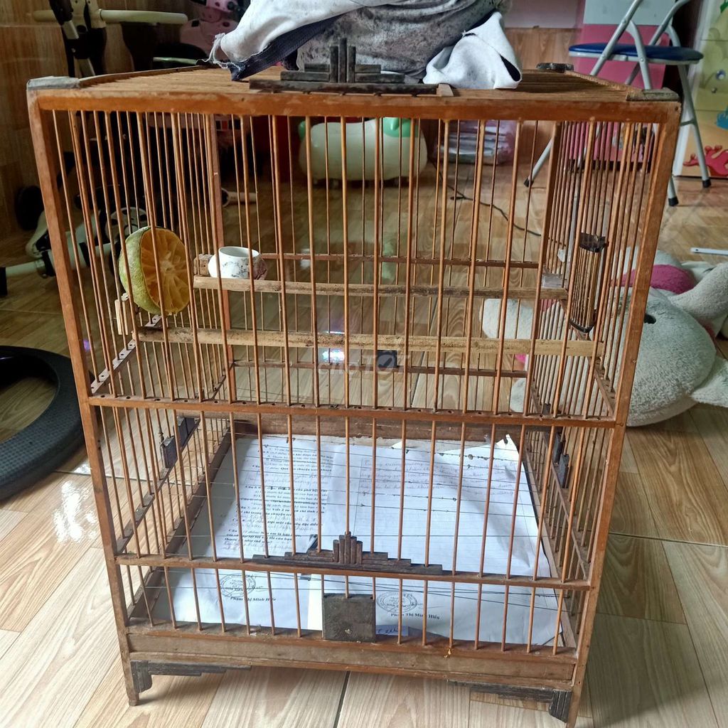2 lồng chào mào đầy đủ phụ kiện.bao hư bao gãy. Mua bán Chim tại Huyện Hòa Vang Đà Nẵng được đăng bởi kun hình 2