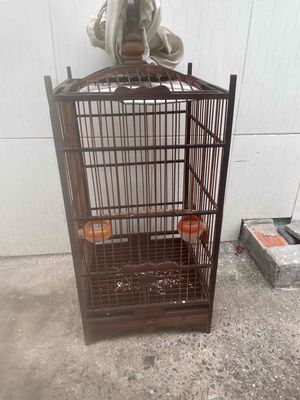 Lồng chim gỗ vuông cao vòm 30-50 giao lưu lồng lua. Mua bán Phụ kiện, Thức ăn, Dịch vụ tại Quận Bình Tân Tp Hồ Chí Minh được đăng bởi Cuong Le