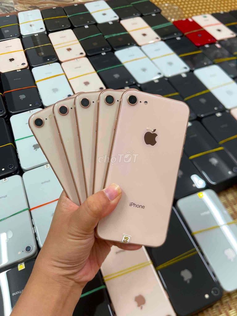 Apple iPhone 8 8GB Vàng hồng. Mua bán Điện thoại tại Quận Đống Đa Hà Nội được đăng bởi Trường Đông Dương hình 1