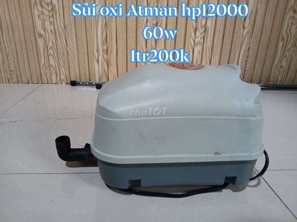 hồ , kệ , bơm , đèn , máy oxi công xuất lớn v.v.... Mua bán Phụ kiện, Thức ăn, Dịch vụ tại Quận Thanh Khê Đà Nẵng được đăng bởi duy hình 1