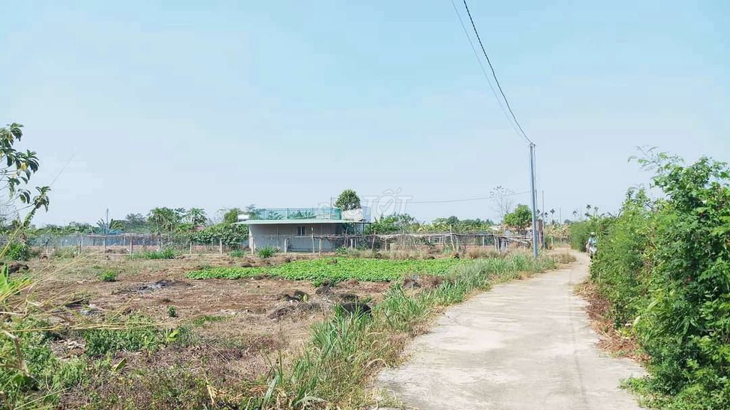 Đất sào 1000m2 góc 2 mặt tiền bê tông, khu dân cư xã Sông Thao