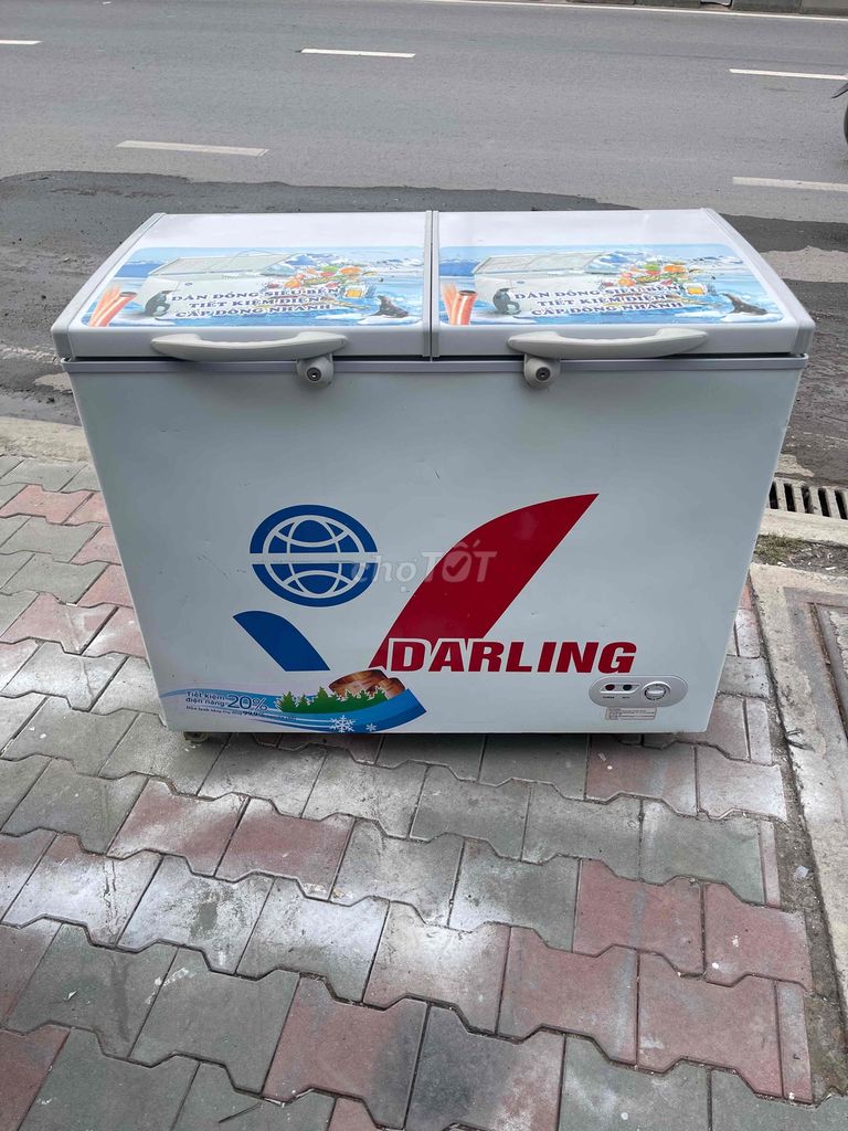 tủ đông darling 250 lít. giao hàng miễn phí