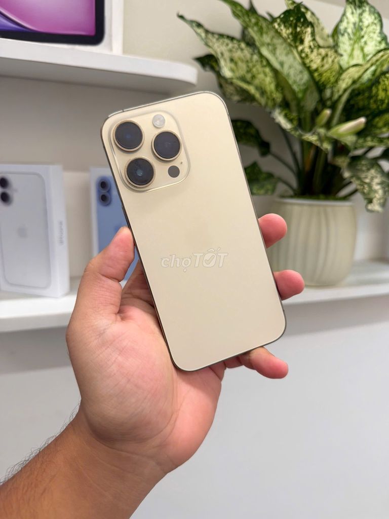 iPhone 14 Pro 128GB Vàng Zin nguyên đẹp 99%. Mua bán Điện thoại tại Quận Đống Đa Hà Nội được đăng bởi Bùi Hiếu  H iStore hình 1