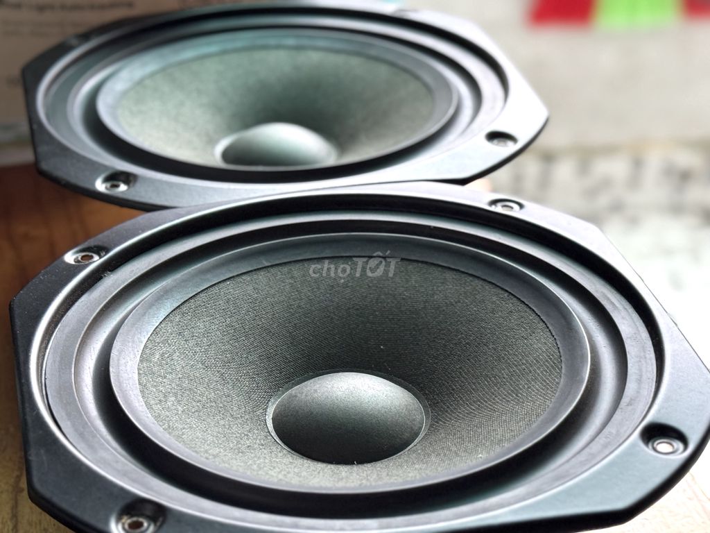 Cặp bass 20 Anh Quốc (Wharfedale- 2065T)