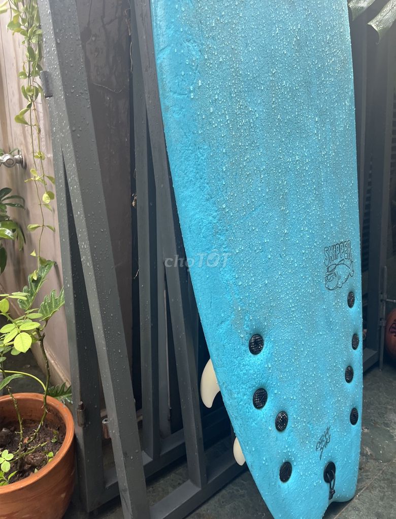 Ván lướt sóng Odysea Skipper Quad. Mua bán Đồ thể thao, Dã ngoại tại Thành phố Thủ Đức Tp Hồ Chí Minh được đăng bởi Ambre Doolan hình 1