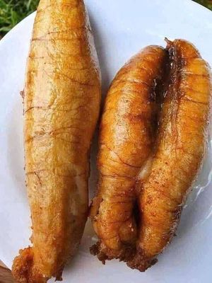 Trứng cà ngừ đại dương. Mua bán Đồ ăn, thực phẩm và các loại khác tại Quận 3 Tp Hồ Chí Minh được đăng bởi AiKieule