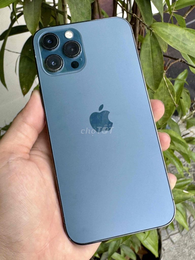 Apple iPhone 12 Pro Max 128GB Xanh 100%. Mua bán Điện thoại tại Quận Thanh Khê Đà Nẵng được đăng bởi Thương Mobile hình 1