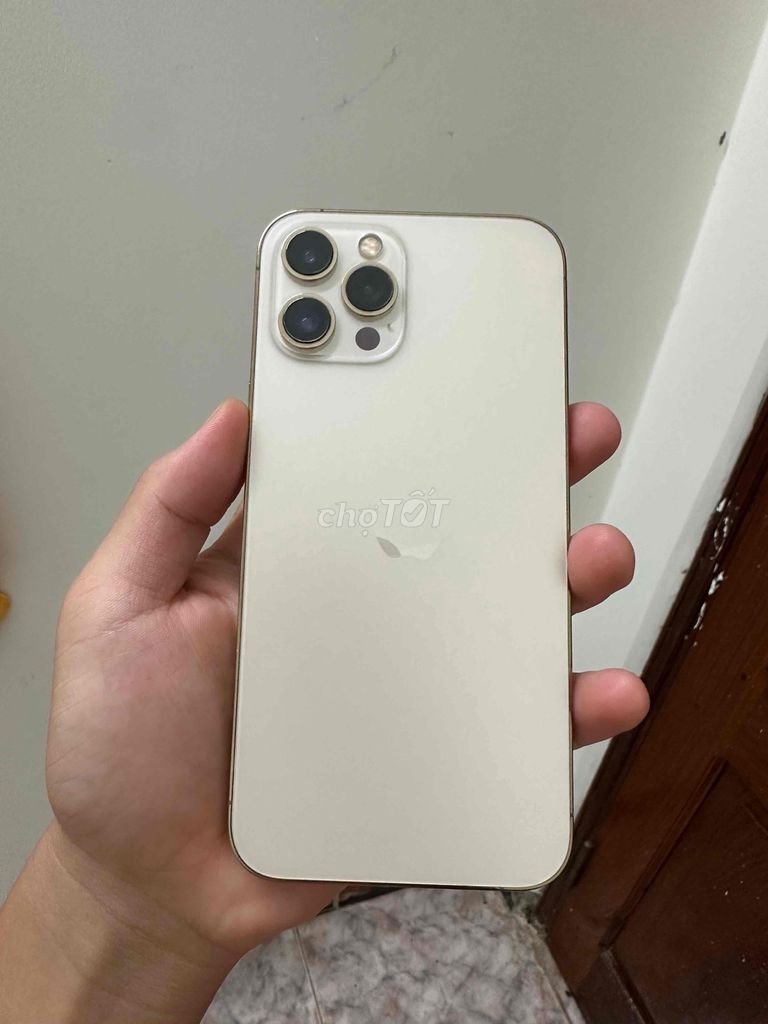 Apple iPhone 12 Pro Max Vàng Gold 80%. Mua bán Điện thoại tại Thành phố Buôn Ma Thuột Đắk Lắk được đăng bởi Quân hình 1