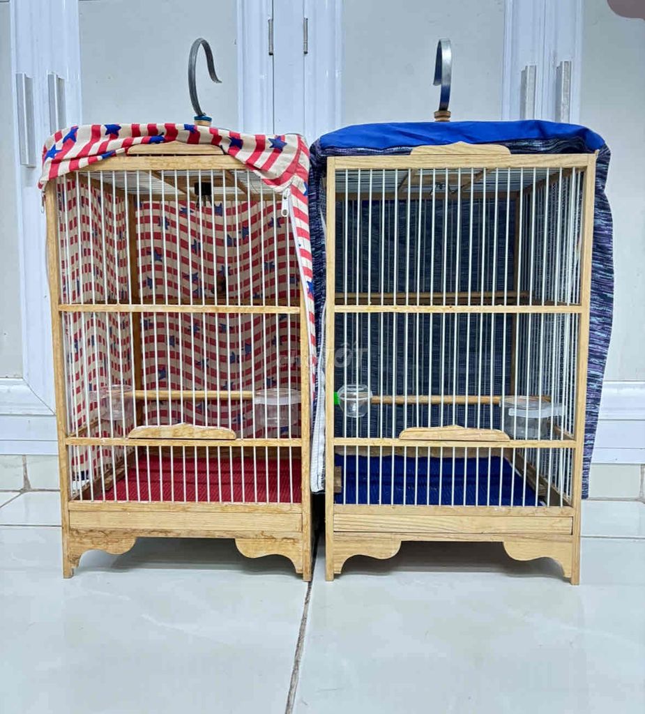 bay nhanh 2 lồng chim nhỏ
