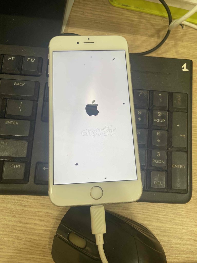 Apple iPhone 6s Plus 64GB Vàng Đã sử dụng. Mua bán Điện thoại tại Quận Tây Hồ Hà Nội được đăng bởi Anh Vinh  hình 1