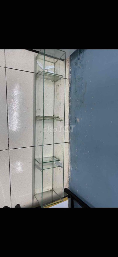 lọc tràn trên 95cm. Mua bán Phụ kiện, Thức ăn, Dịch vụ tại Quận 12 Tp Hồ Chí Minh được đăng bởi Truong tri luan hình 1