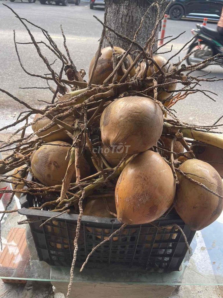 Dừa tươi chanh giây cà phê muối nước ép các loại. Mua bán Đồ ăn, thực phẩm và các loại khác tại Quận Thanh Khê Đà Nẵng được đăng bởi Dũng  hình 1