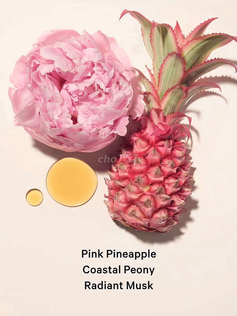 Nước hoa Victorias Secret EDP Nữ 100ml. Mua bán Nước hoa tại Quận Long Biên Hà Nội được đăng bởi tổng kho sỉ hình 1