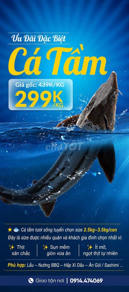 Cá tầm tươi sống 299k/1kg. Mua bán Đồ ăn, thực phẩm và các loại khác tại Quận Hải Châu Đà Nẵng được đăng bởi  Trại Mua Bán Cá Tầm Miền Trung Tây Nguyên hình 1