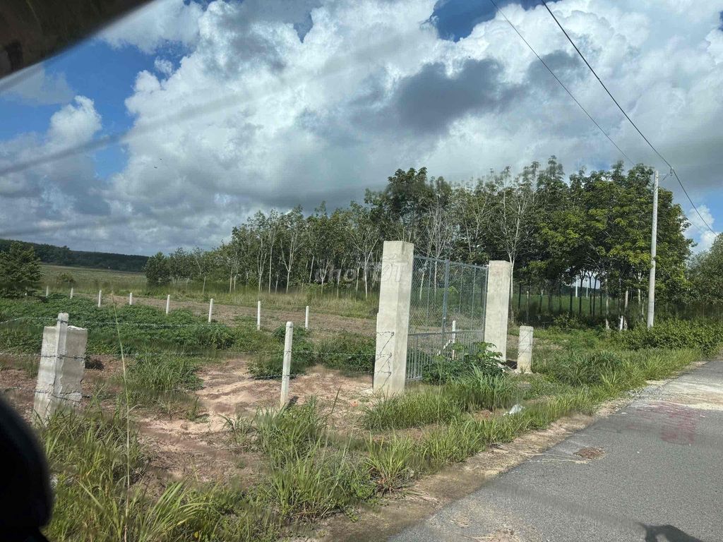 Đất thổ cư 300m2 đường 12