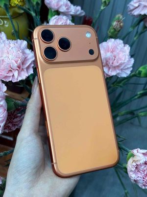 17 Pro Max 256GB Cam VN Pin 100 sạc 25L đẹp keng