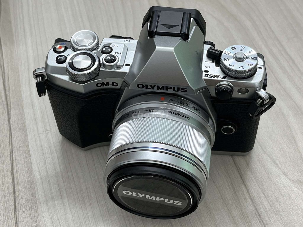 Olympus EM5-ii vs Zuiko 25F1.8, Silver 99%