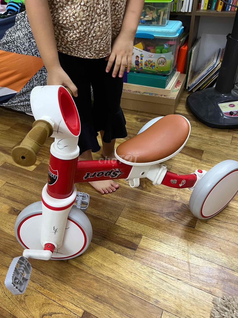 Xe đạp 3 tư thế