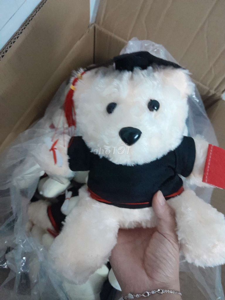 Gấu bông Gấu tốt nghiệp 23cm. Mua bán Sở thích khác tại Quận Cẩm Lệ Đà Nẵng được đăng bởi Nước hình 1