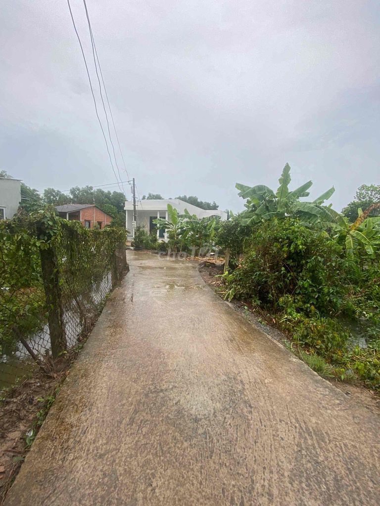 Bán đất rẻ 423 m2 full thổ cư ngay trung tâm thương mại tỉnh Long An. Mua bán đất tại Huyện Tân Trụ Long An được đăng bởi THANH TÙNG hình 2