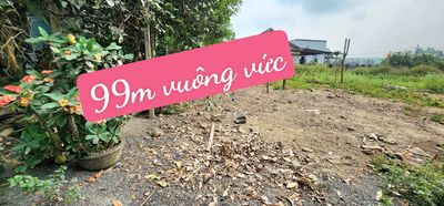 HÀNG HIẾM💫1tỷ290 sỏ hữu lô 99m sát chợ💦ĐẦU MỐI MIỀN TRUNG💦chỉ 500M. Mua bán đất tại Quận Cẩm Lệ Đà Nẵng được đăng bởi MIẾU BÔNG LAND