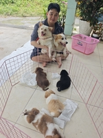 Cún xinh chất lượng 