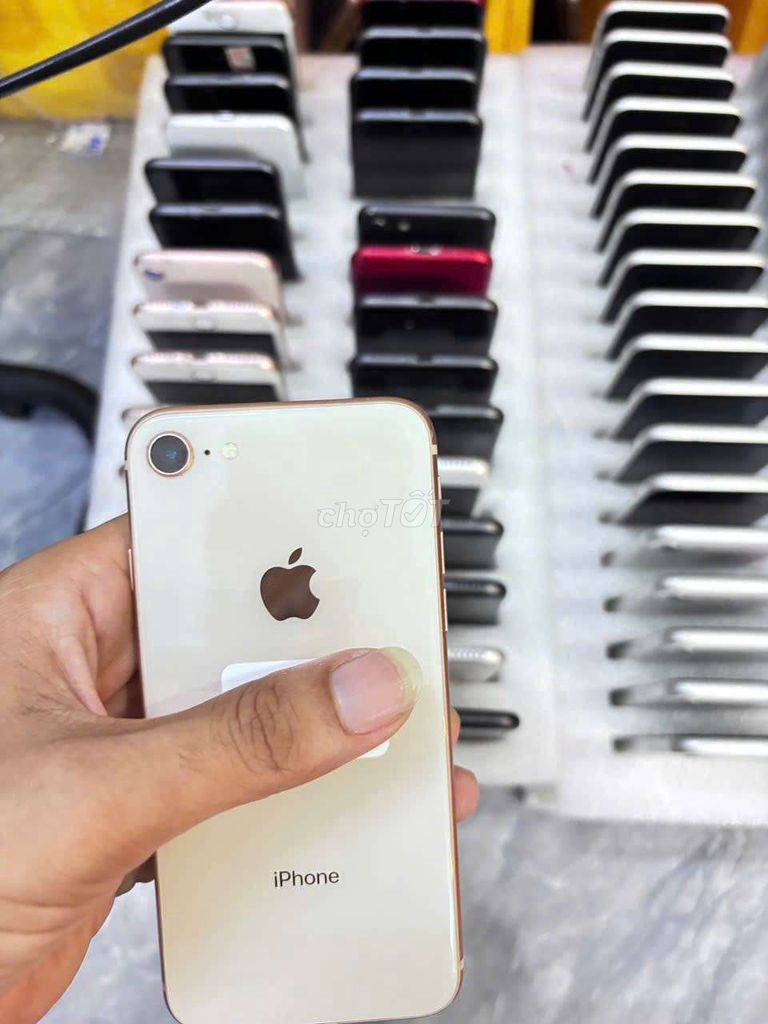 Apple iPhone 8 Nhiều màu. Mua bán Điện thoại tại Quận 11 Tp Hồ Chí Minh được đăng bởi long tran hình 1