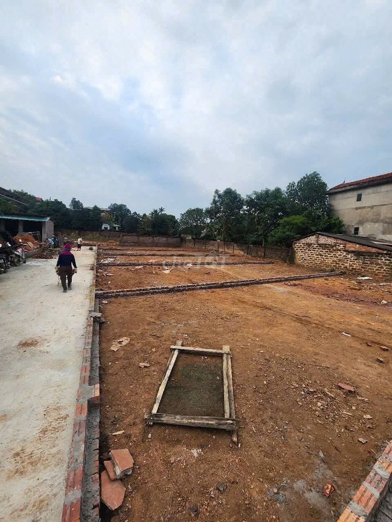 bán đất full tc tại; Thái Lai - Kim  Anh -Hà Nội (mới) - ảnh 3