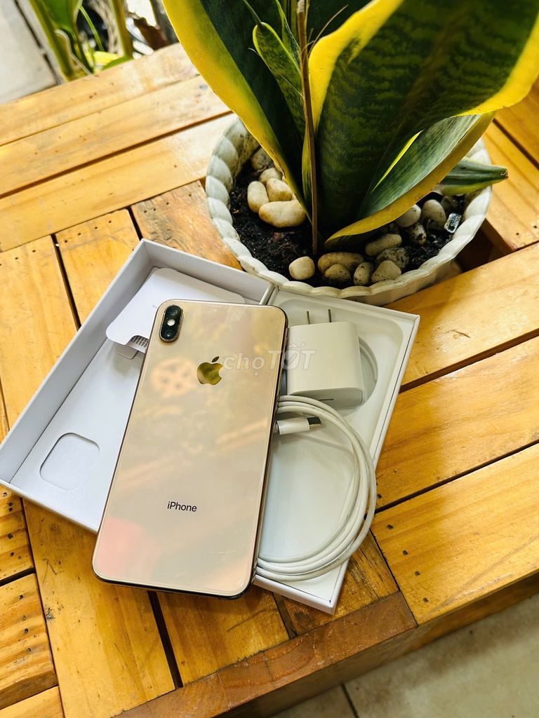 Cần bán iphone Xsmax 256G qte icloud chính chủ 99%