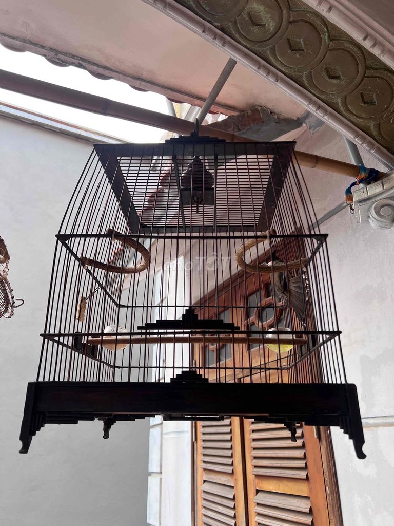 Lồng chim Gỗ Nâu. Mua bán Phụ kiện, Thức ăn, Dịch vụ tại Huyện Đan Phượng Hà Nội được đăng bởi Kiên Hữu hình 1