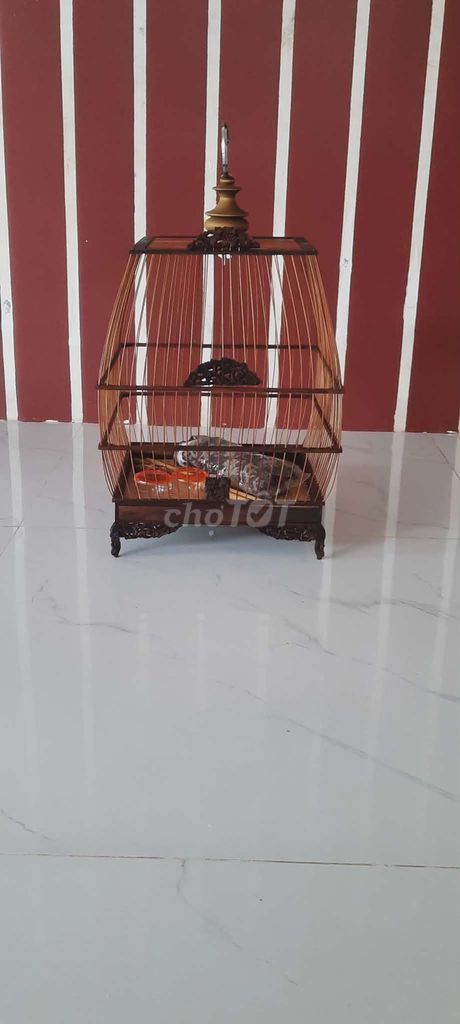 Lồng chim Sin Chào Mào Tre, gỗ. Mua bán Phụ kiện, Thức ăn, Dịch vụ tại Huyện Hòa Vang Đà Nẵng được đăng bởi Phát hình 1