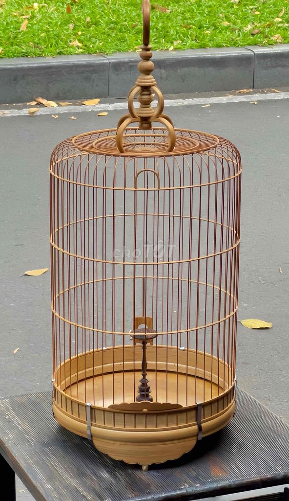 lồng chim sơn ca vip. Mua bán Chim tại Quận 5 Tp Hồ Chí Minh được đăng bởi Thành Đạt hình 1