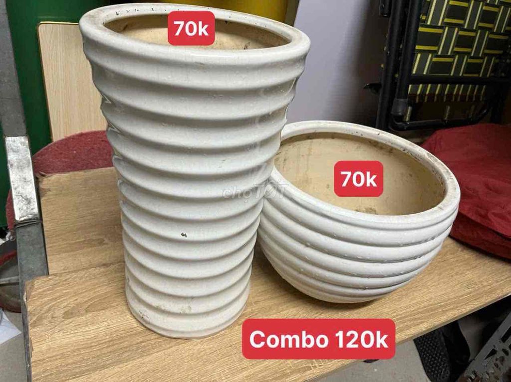 Combo chậu sứ lòng tráng men. Mua bán Cây cảnh, đồ trang trí tại Thành phố Thủ Đức Tp Hồ Chí Minh được đăng bởi Lương Thị Ngọc Thuỳ hình 1