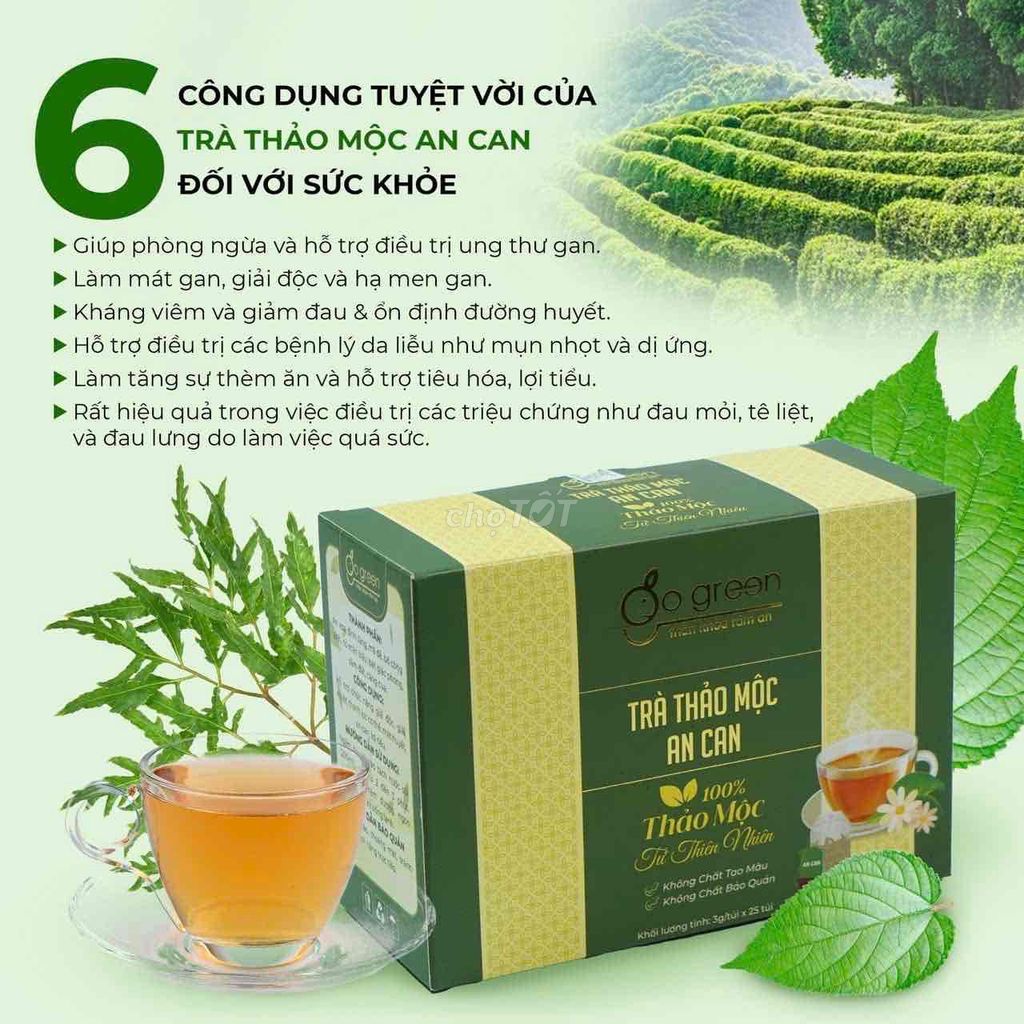 trà thanh nhiệt,thảo mộc an can giải độc gan