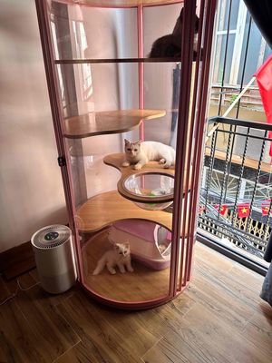 Tháp chuồng mèo khung sắt gỗ MDF. Mua bán Phụ kiện, Thức ăn, Dịch vụ tại Quận Cầu Giấy Hà Nội được đăng bởi Bngoc