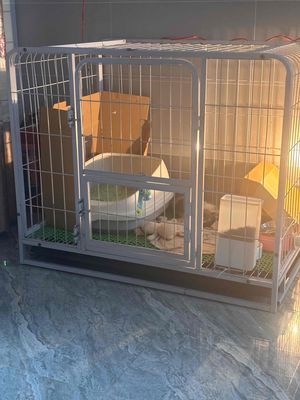 Chuồng mèo sắt đặc 90x65x80cm. Mua bán Phụ kiện, Thức ăn, Dịch vụ tại Huyện Bình Chánh Tp Hồ Chí Minh được đăng bởi Vy
