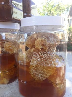 Mật ong hoa cà phê. Mua bán Đồ ăn, thực phẩm và các loại khác tại Thành phố Thủ Đức Tp Hồ Chí Minh được đăng bởi NGUYỄN THỊ THU TÀI