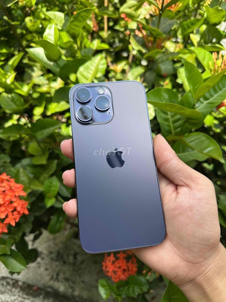 Apple iPhone 14 Pro Max 128GB Tím. Mua bán Điện thoại tại Huyện Châu Phú An Giang được đăng bởi Thương Nè hình 1