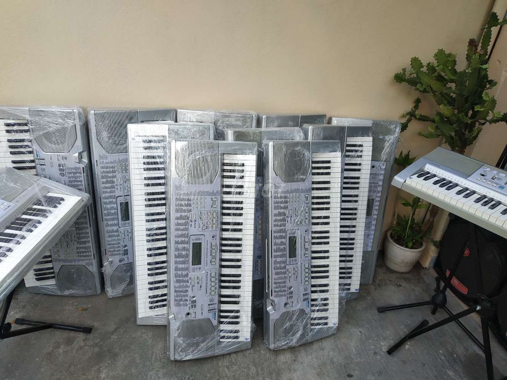 0902302141 - Lô ORGAN Casio LK810 sỉ, lẻ. Chuẩn 61 phím