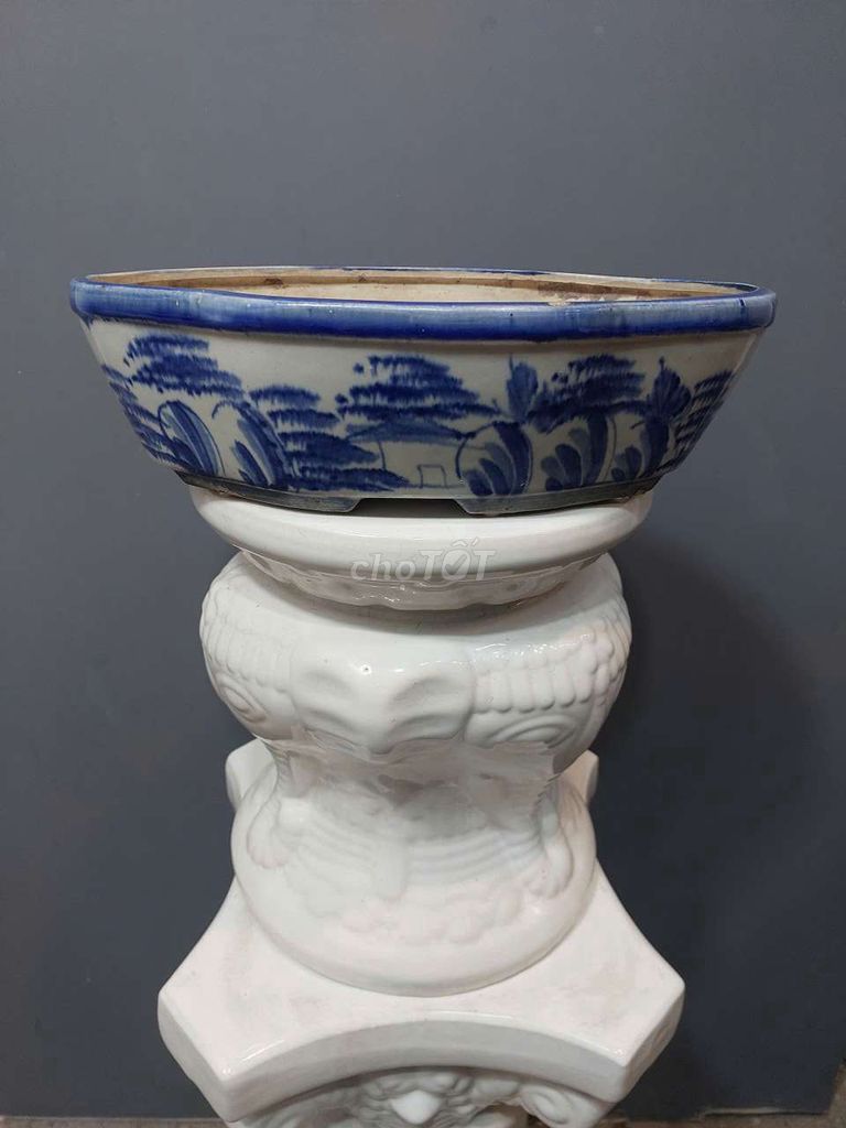 Chậu bonsai Gốm sứ Oval xưa Xanh trắng 33x21. Mua bán Cây cảnh, đồ trang trí tại Quận Tân Bình Tp Hồ Chí Minh được đăng bởi Bonsai và Chậu xưa hình 1