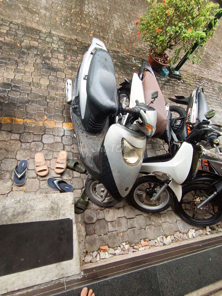 Atila đề nhẹ là nổ mấy êm re. Mua bán Xe máy tại Quận Bình Tân Tp Hồ Chí Minh được đăng bởi  phước  hình 1