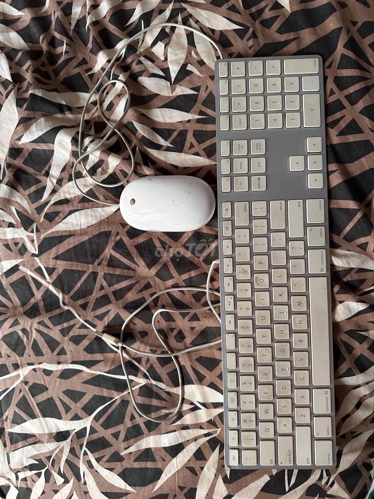 Bàn phím Retro Apple A1243 vs Mouse A1152. Mua bán Phụ kiện (Màn hình, Chuột...) tại Quận 3 Tp Hồ Chí Minh được đăng bởi Truong Duy hình 1