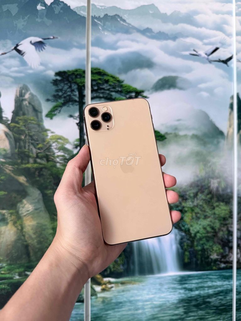 Apple iPhone 11 Pro Max 64GB Gold. Mua bán Điện thoại tại Quận Thanh Khê Đà Nẵng được đăng bởi Tiến Cường hình 1