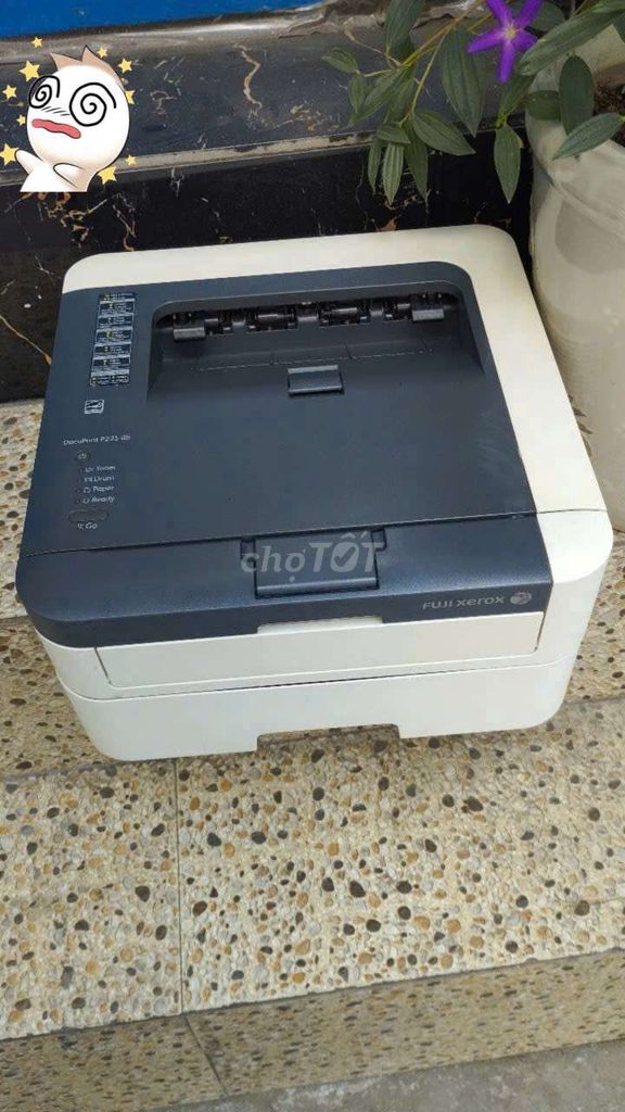 Máy in 2 mặt Xerox P22 5D đời mới quá rẻ