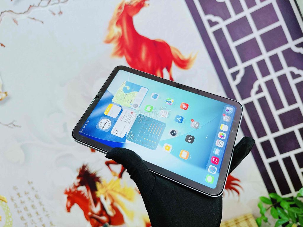 iPad Mini 7 128GB Gray 5G + Wifi 98% nguyên zin. Mua bán Máy tính bảng tại Quận Hải Châu Đà Nẵng được đăng bởi Hoàng Anh Tuấn hình 1