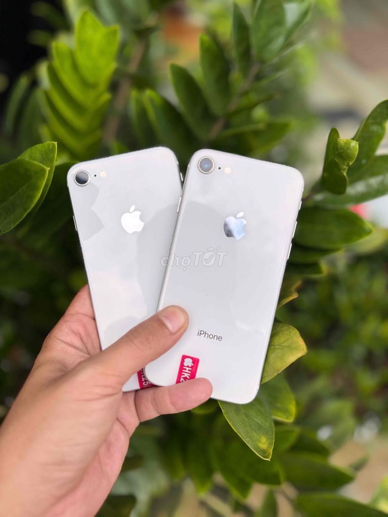 Apple iPhone 8 64GB Trắng. Mua bán Điện thoại tại Huyện Bàu Bàng Bình Dương được đăng bởi Duy Hoàng hình 1