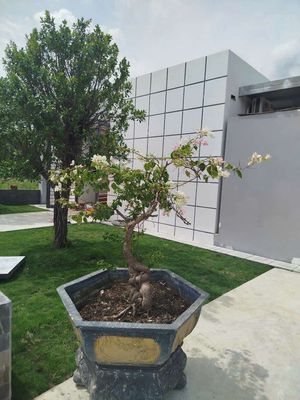 Cho thuê nhà nguyên căn. Cho thuê nhà ở tại Huyện Dương Minh Châu Tây Ninh được đăng bởi Quang Phương Trương
