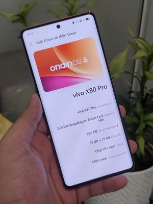 Vivo X80 Pro ram 12/256GB màn đẹp