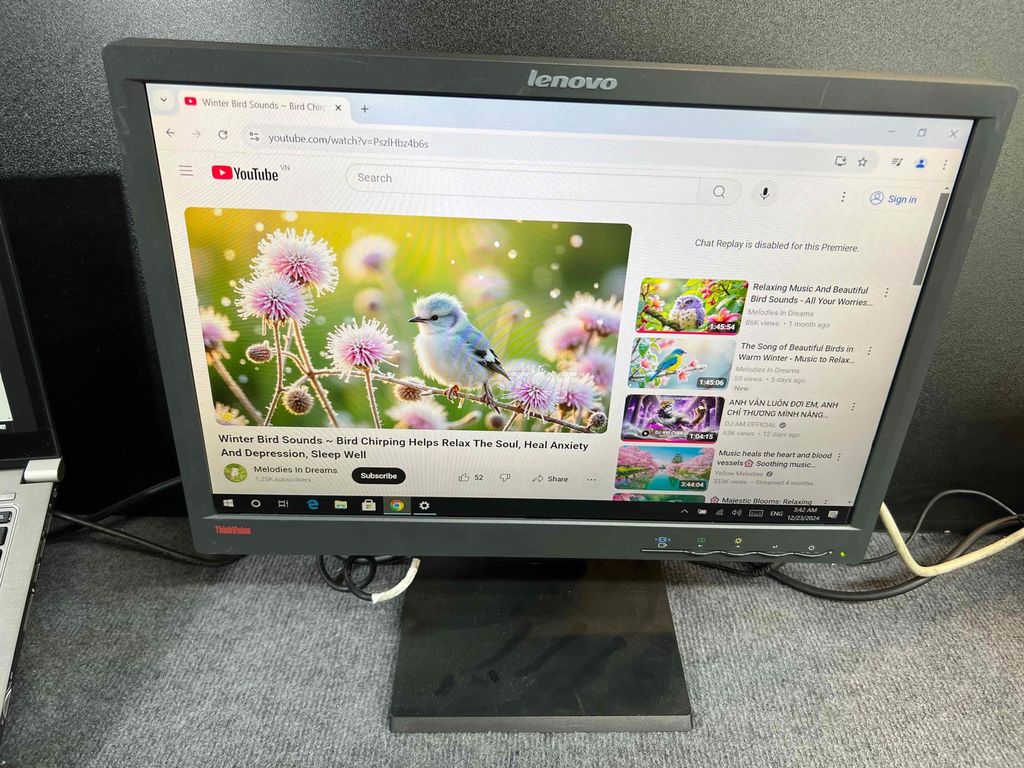 🖥️ Màn hình Thinkvision 19” HD Plus siêu sắc nét